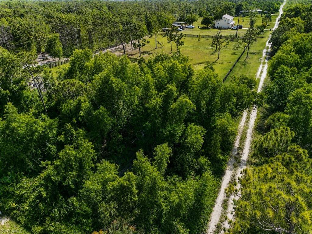 KREAMERS AVOCADO SUBD - Land