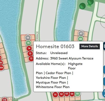 HAMPTON LAKES - Residential
