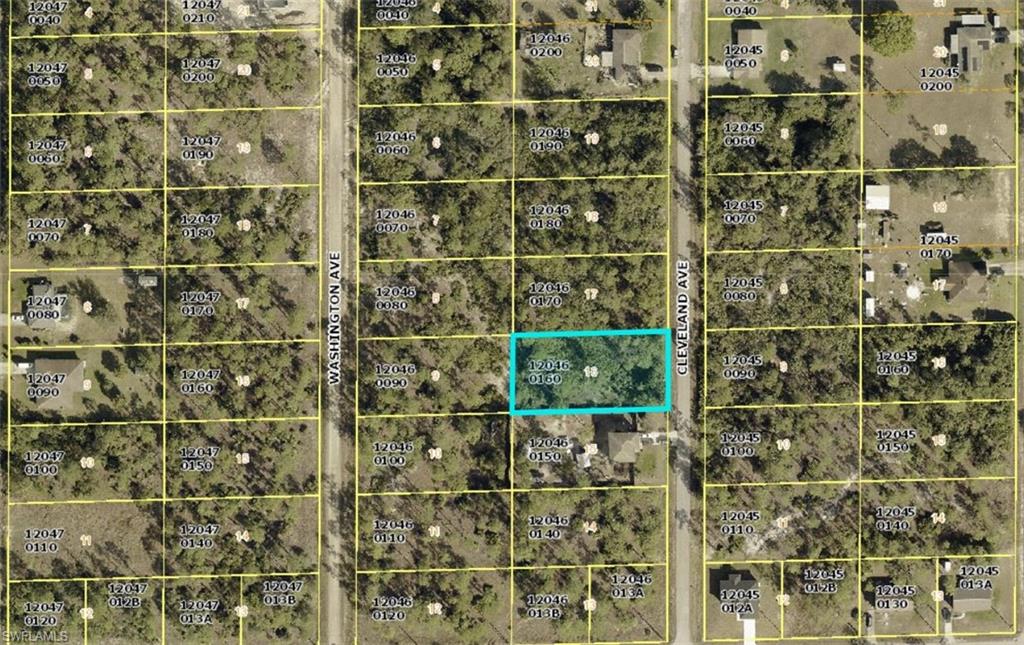 Great opportunity to own a discounted half-acre lot in a good area of Lehigh Acres. This parcel is priced below market due to gopher tortoise burrows on the property, making it a strong long-term investment for the right buyer. The size, location, and reduced price create solid upside potential for investors or future builders willing to handle the required due diligence. Half-acre lots in desirable areas continue to attract interest, and this one is priced to move.