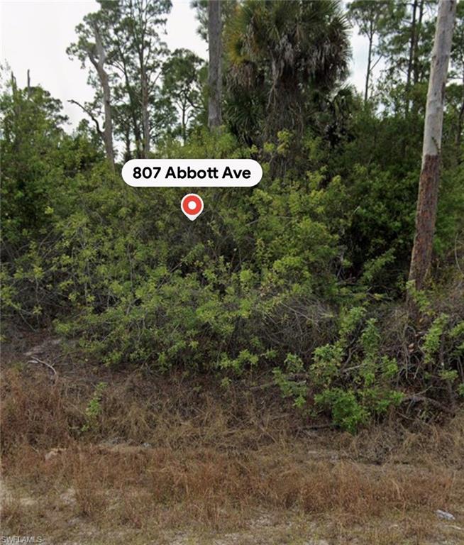 LEHIGH ACRES - Land