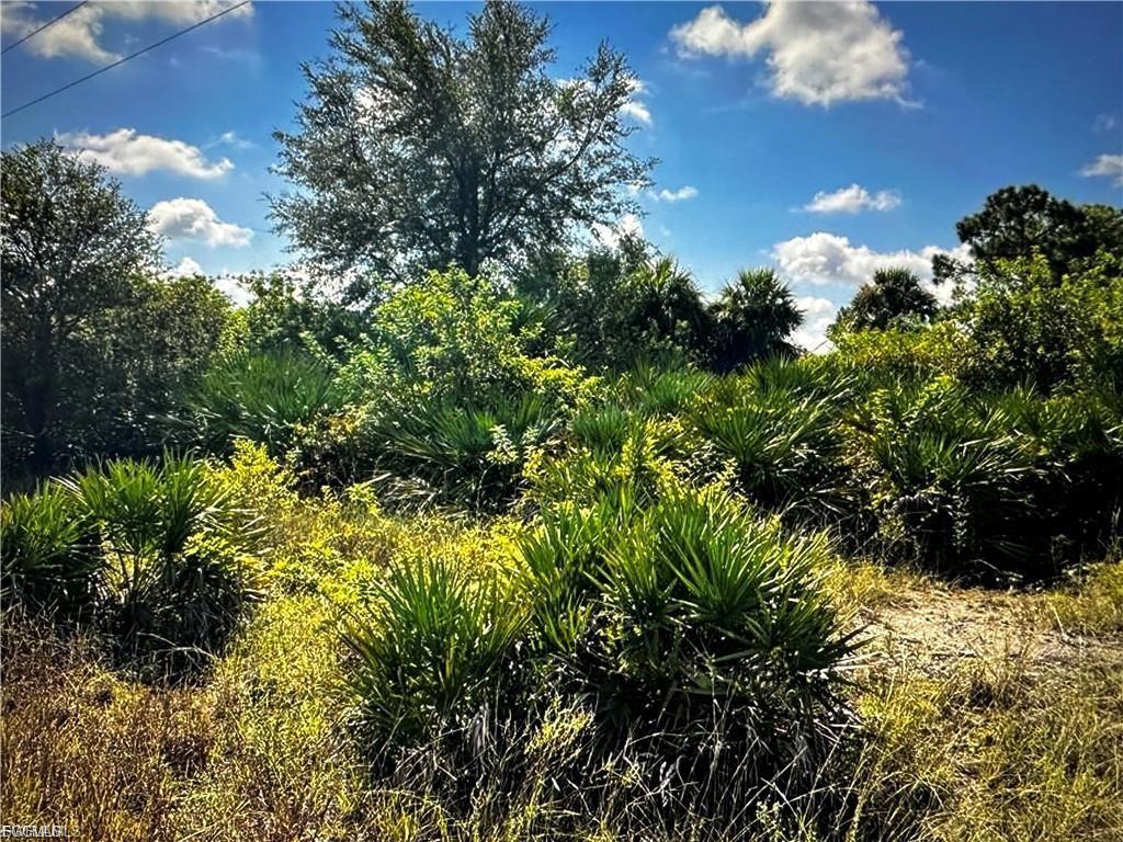 Great Location !!1.25 ACRES TO BUILD ON IN A VERY POPULAR AREA OF NEW HOMES WITH ACREAGE! Animals allowed. Close to Alba boat ramp. Surrounded by nature. Plenty of room for your dream home, outbuildings, pool and more ,which allows easy access to Fort Myers/Naples/Cape Coral. Only 15+/- miles from I-75. Don't miss this opportunity to own a piece of Florida's natural beauty.