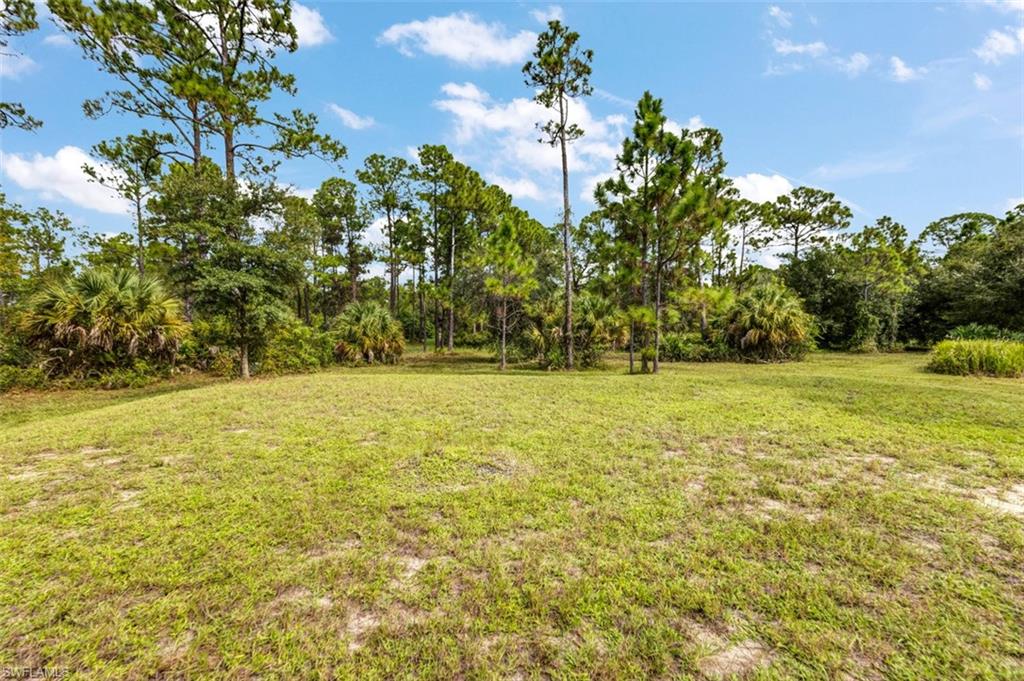 PIONEER PLANTATION - Land