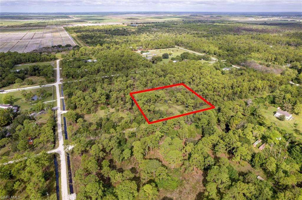 PIONEER PLANTATION - Land