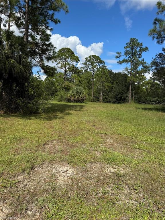 PIONEER PLANTATION - Land