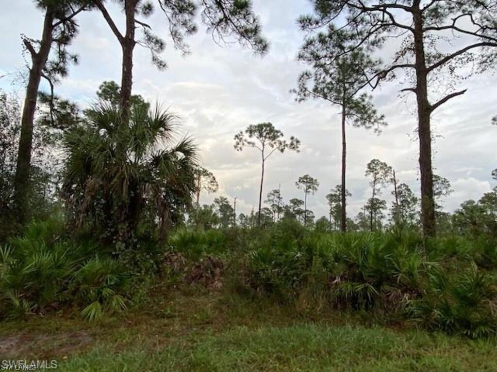 PUNTA GORDA - Land