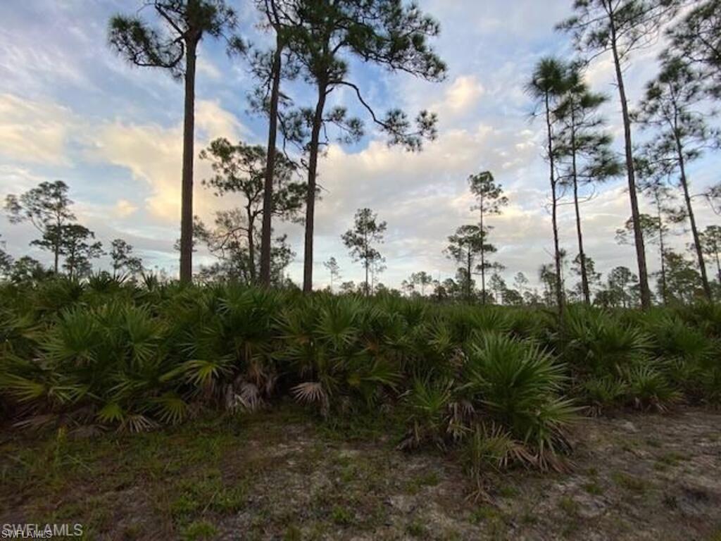 PUNTA GORDA - Land