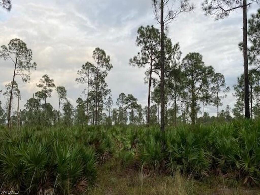 PUNTA GORDA - Land