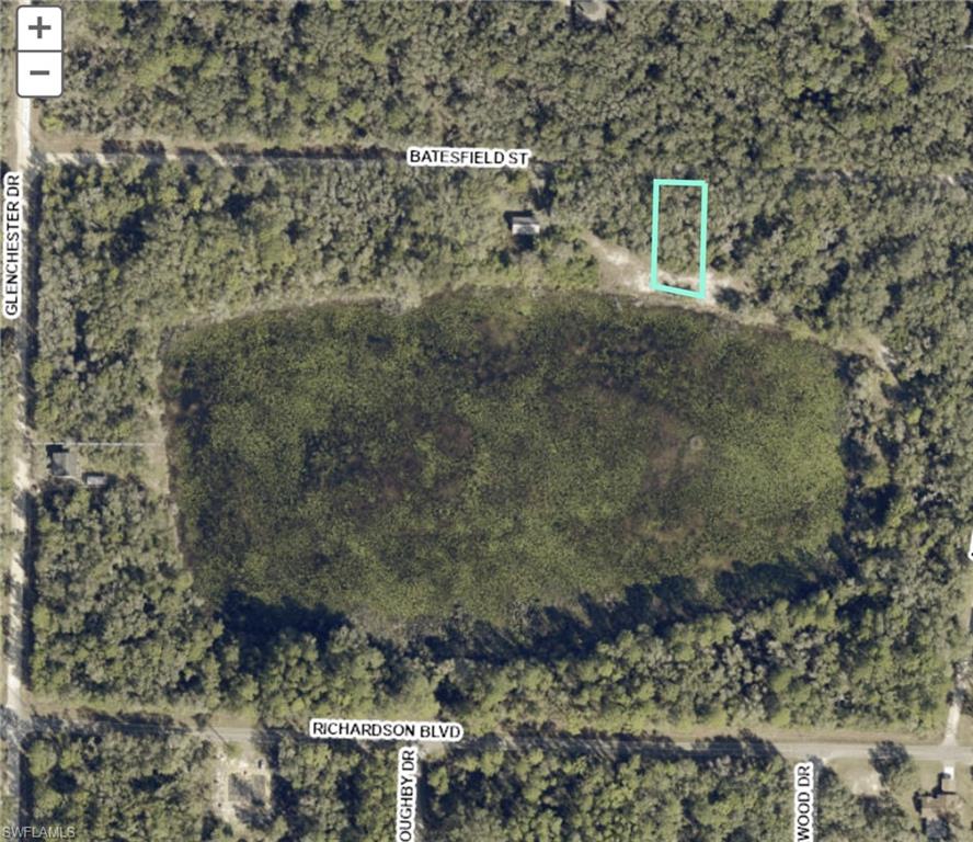 Opportunity to own .32 acre lot on a scenic 11-acre lake in Ridge Manor. Southern rear exposure, 80 feet of lake frontage, and partially cleared. Watch the herons, egrets, and Sandhill Cranes as you fish or kayak in your own back yard. Great up and coming community, especially for nature lovers and outdoor enthusiasts-- new construction is popping up, but the neighborhood is still mostly rural. Community has no HOA. All kinds of Florida wildlife abounds in the area, especially native and migratory birds. And, the community is surrounded by some of the state's best wildlife areas. Right down the street is Withlacoochee State Forest with miles of hiking/horseback/biking trails. Silver Lake Recreation Area is only a few miles away. Richloam Wildlife area and Green Swamp West wildlife areas are just minutes away by car. Short drive to Interstate 75; Tampa, Orlando and Florida's gorgeous beaches are all within an hour drive. Don't miss the opportunity to own your own piece of paradise.
