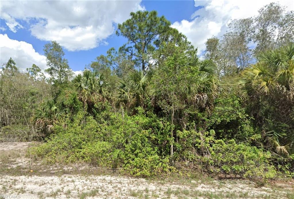 LEHIGH ACRES - Land