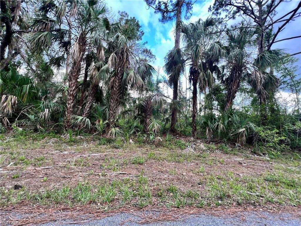Beautifull lot offers a unique opportunity to build the home of your dreams, Situated in Port Charlotte a quiet area, this land boast panoramic views and convenient location close to local amenities. With ample space to design and build, this lot is perfect for those looking to create their own personal paradise. Don't miss the change to turn the space this land into your HOME!!