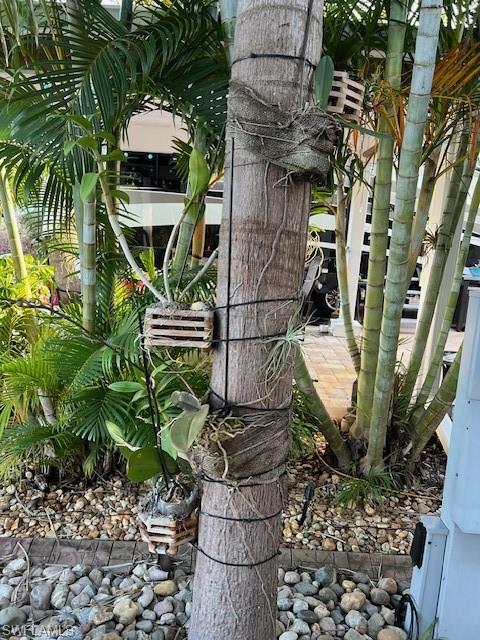 CYPRESS TRAIL RV RESORT - Land