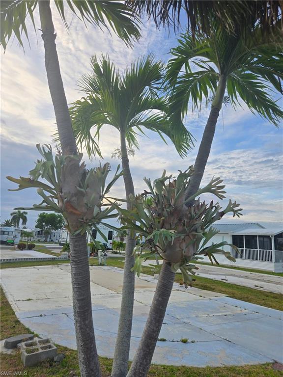 PALMETTO PALMS R V - Land