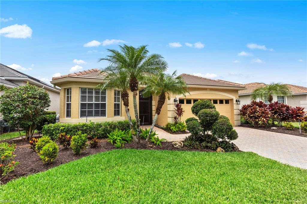 THE VINES - Residential