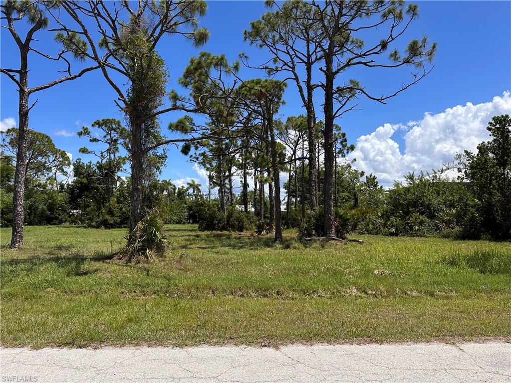 PINE ISLAND TROPICAL HOMESITES - Land