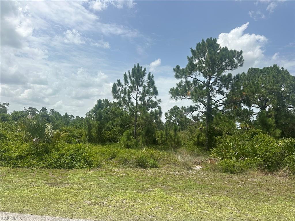 LEHIGH ACRES - Land