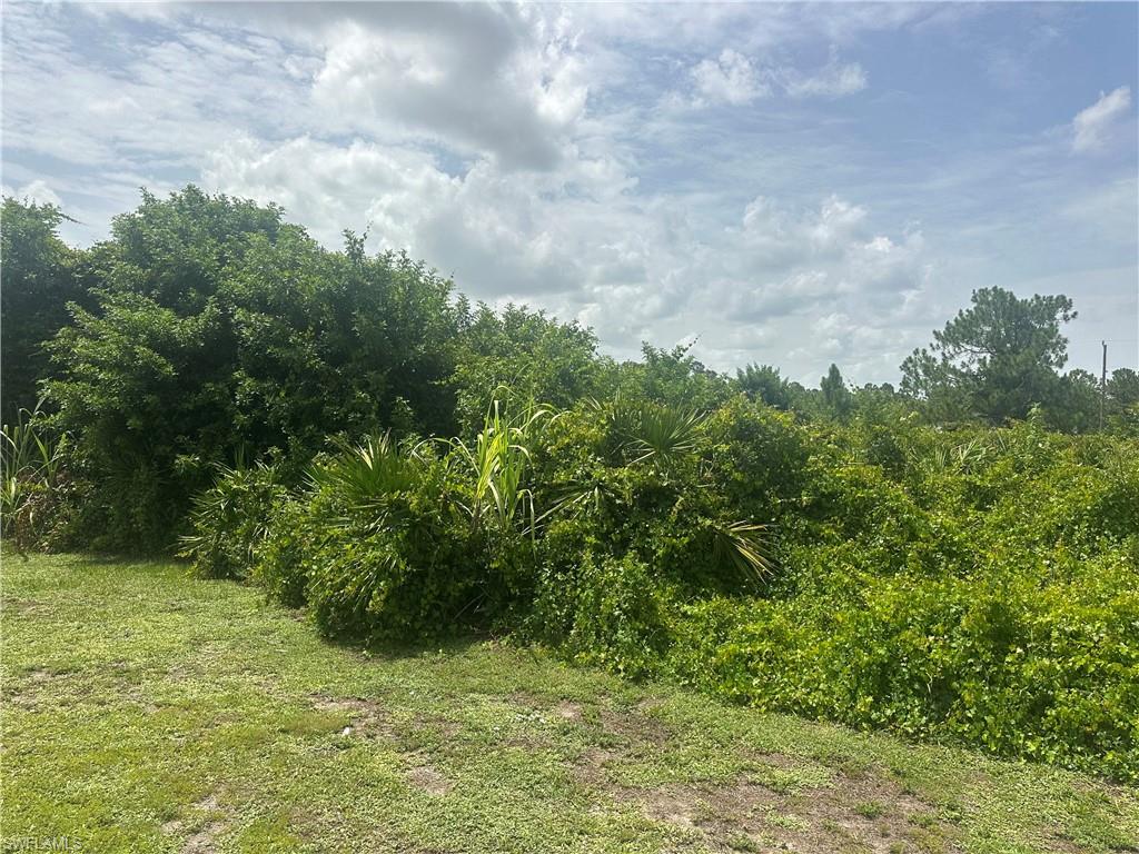 LEHIGH ACRES - Land