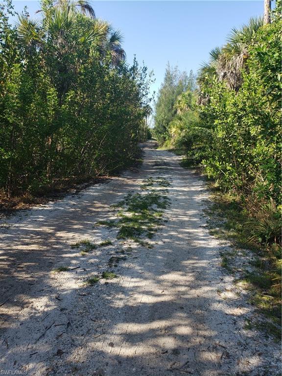 Attention, Nature conservators, Land Bankers, Land mitigation asset comptrollers. 17+ Pristine Virgin  Pine Island acres near open water on offer for your consideration.(in the Master's Landing vicinity) Address not yet determined Approximate measurement is as follows: