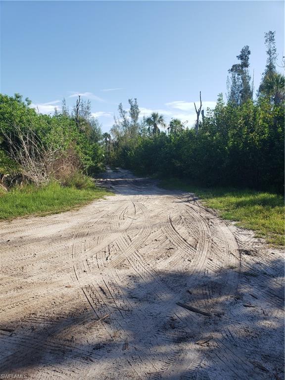 PINE ISLAND - Land
