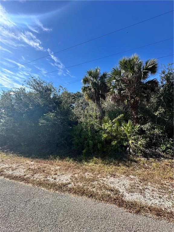 LEHIGH ACRES - Land