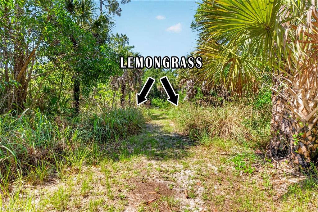 GOLDEN GATE ESTATES - Land
