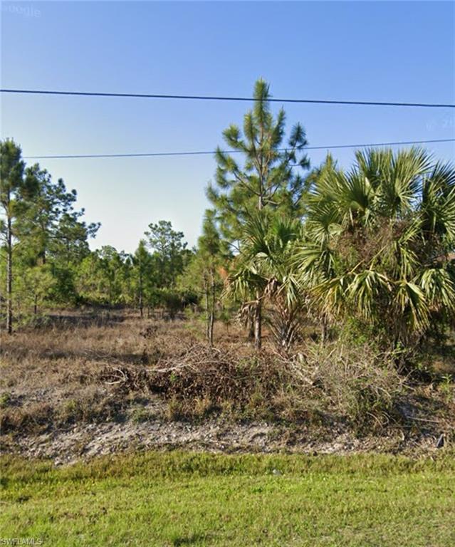 BIG PRICE REDUCTION! Excellent opportunity to own ALMOST 3 ACRES! Great area without an HOA, perfect place to build your home. Nestled in a coveted location, just minutes from Estates Elementary, Corkscrew Middle, Palmetto Ridge High School, and the new Ave Maria University. Whether it's your dream home or an investment project, this is your chance to make it happen. The possibilities are endless with this sizable piece of paradise. Act fast and make your mark in Naples real estate! Motivated seller. There is no address assigned yet, it is next to the house at 2507 56TH AVE NE.