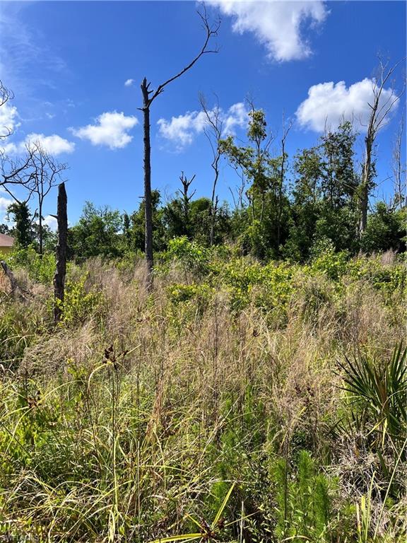 PINE ISLAND - Land