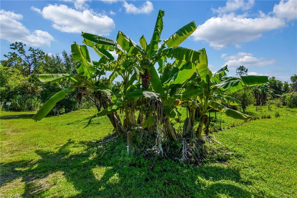 ACREAGE HEADER - Residential Lease