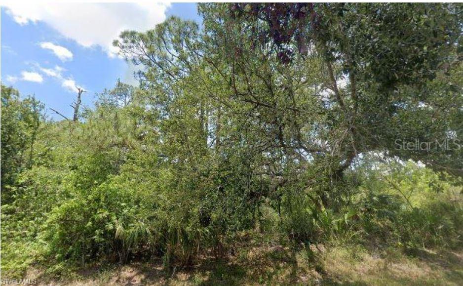 LEHIGH ACRES - Land