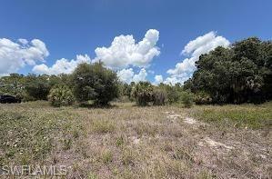 PIONEER PLANTATION - Land