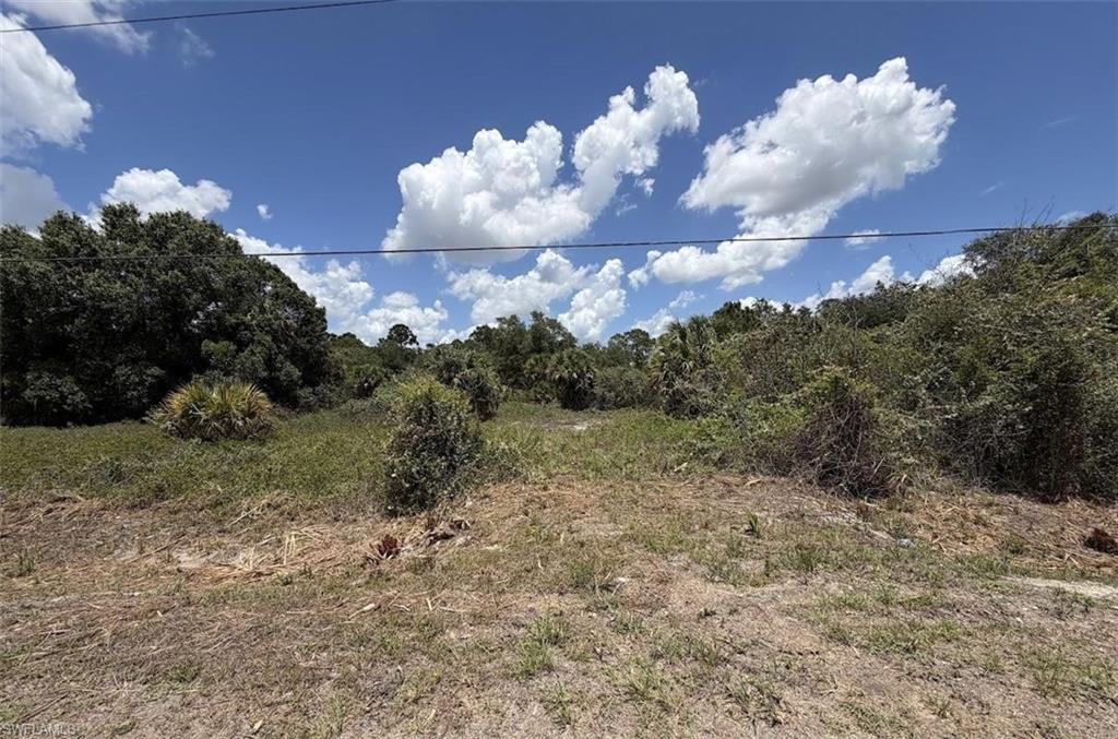 PIONEER PLANTATION - Land