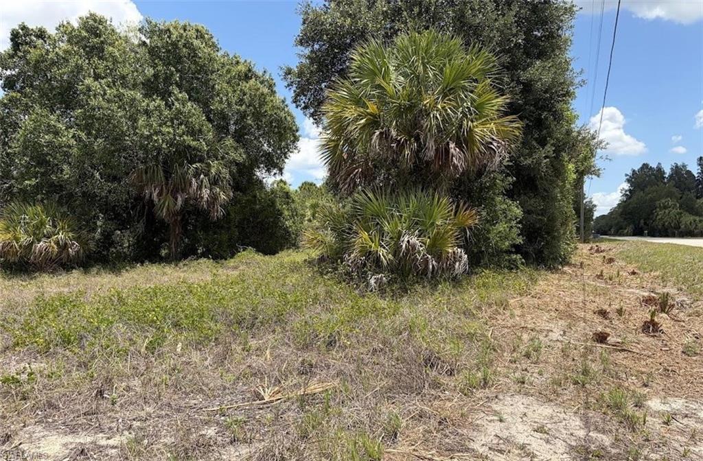 PIONEER PLANTATION - Land
