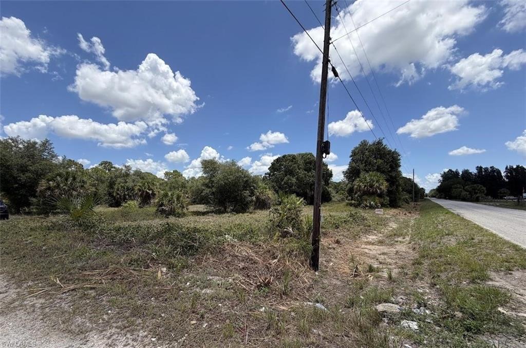 PIONEER PLANTATION - Land