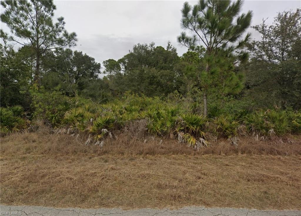LEHIGH ACRES - Land