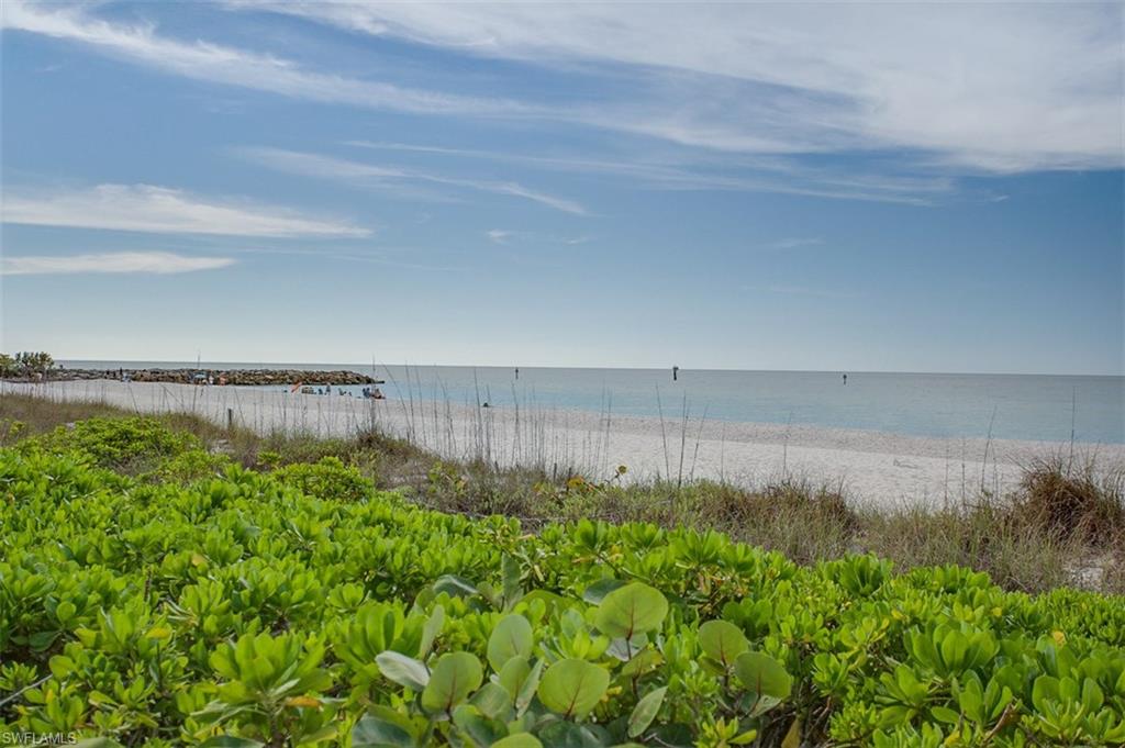 SHORES OF NAPLES - Residential