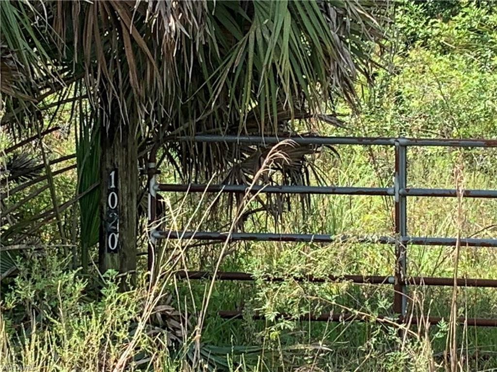 5 acres in the up and coming Immokalee Road corridor. Located just off Immokalee Rd & Sanctuary Rd, near Corkscrew Swamp Bird Sanctuary, build your dream home in this country setting. Note:  Lot 1070 Limpkin (PID : 00096080005) is also available,  contact listing agent for more details