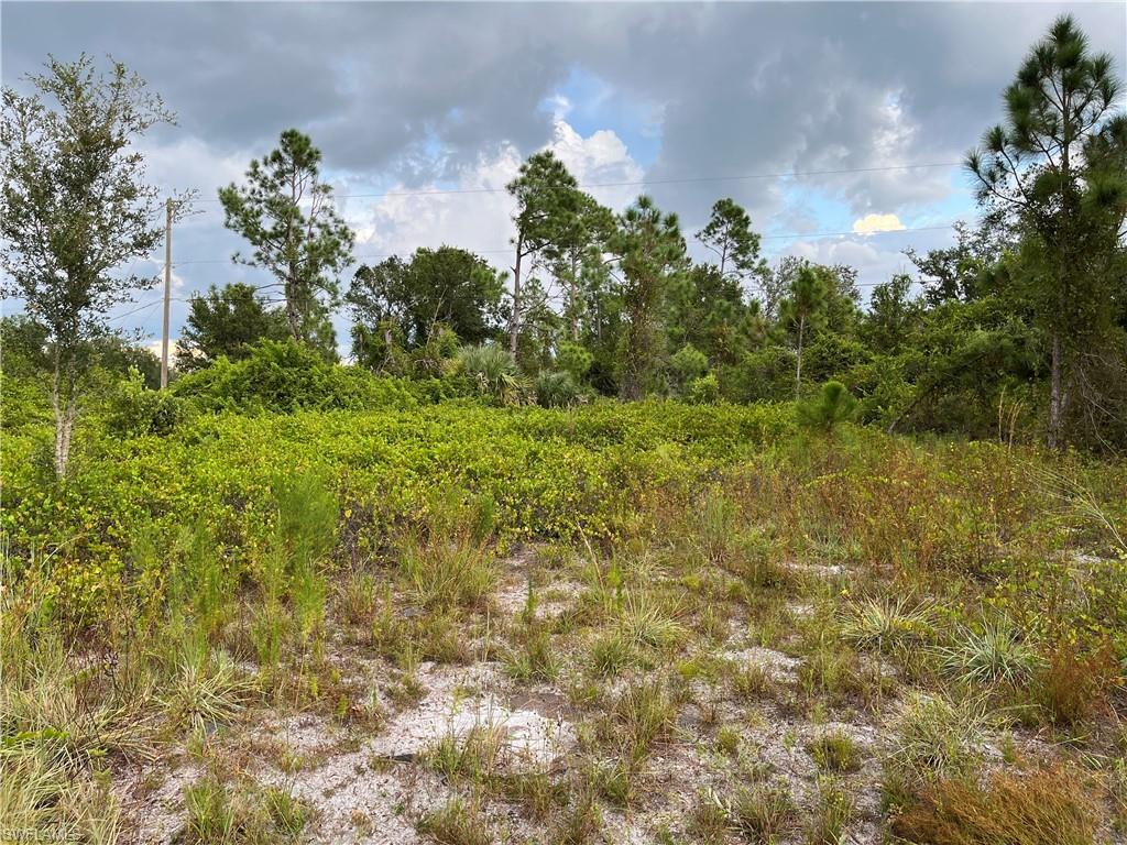 PUNTA GORDA - Land