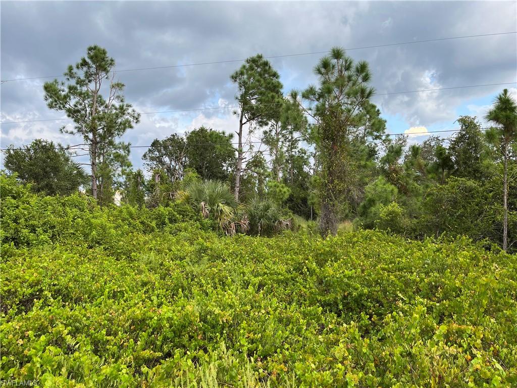 PUNTA GORDA - Land
