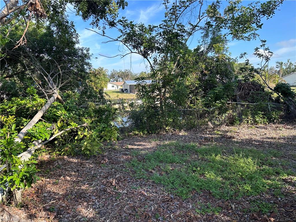 FORT MYERS SHORES - Residential