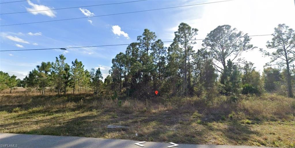 Oversized .40+/- Acre homesite in the growing area of South Lehigh Acres! Just off SR 82, with easy access to Ft. Myers, Immokalee, RSW Airport, Medical & Schools! This is the perfect location for your new dream home on an oversized homesite! NOT IN A FLOOD ZONE AND NO HOA!!