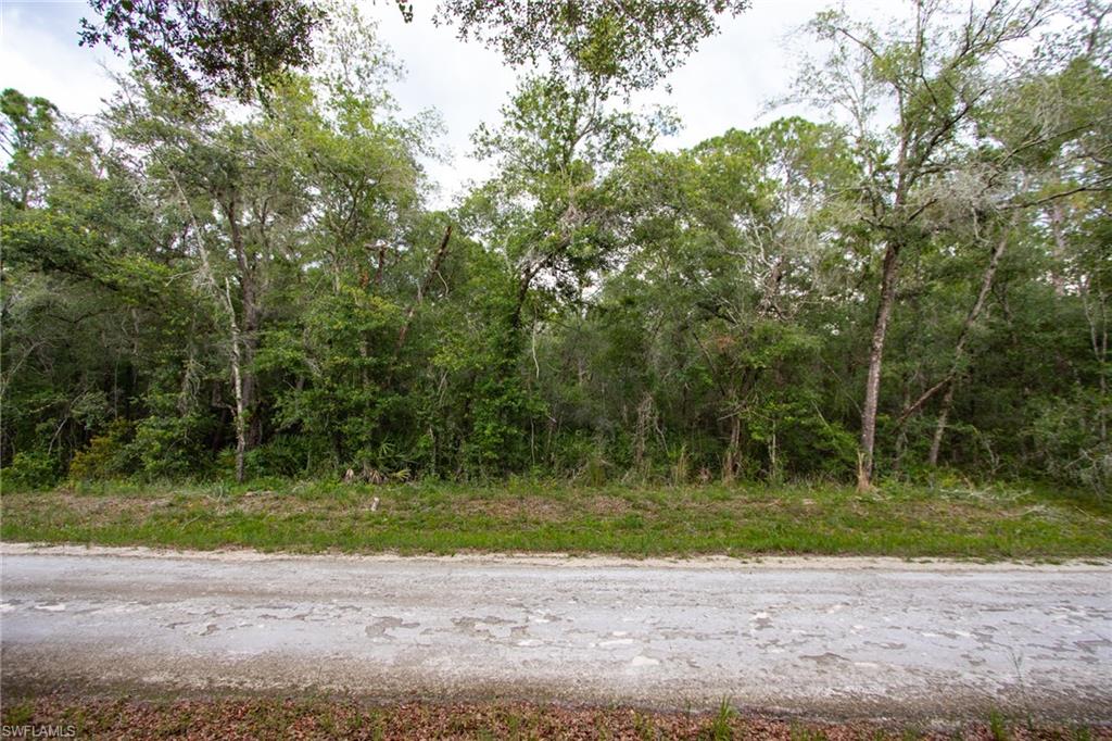 Rural .41 acre vacant lot for sale. Great up and coming community, especially for nature lovers and outdoor enthusiasts-- new construction is popping up, but the neighborhood is still mostly rural. Paved road. No HOA. Need more land? The adjoining .37 acre lot is also for sale. All kinds of Florida wildlife abounds in the area, especially native and migratory birds. And, the community is surrounded by some of the state's best wildlife areas. Right down the street is Withlacoochee State Forest with miles of hiking/horseback/biking trails. Silver Lake Recreation Area, Richloam Wildlife area, and Green Swamp West wildlife areas are just minutes away by car. Short drive to Interstate 75; Tampa, Orlando and Florida's gorgeous beaches are all within an hour drive. Don't miss the opportunity to own your own piece of paradise.