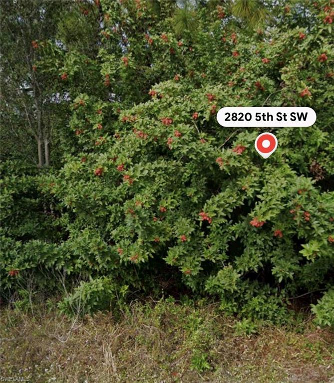 LEHIGH ACRES - Land