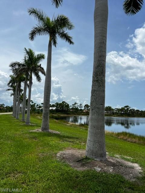 CALUSA RIDGE - Land