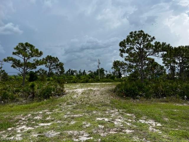 CALUSA RIDGE - Land