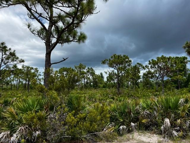 CALUSA RIDGE - Land