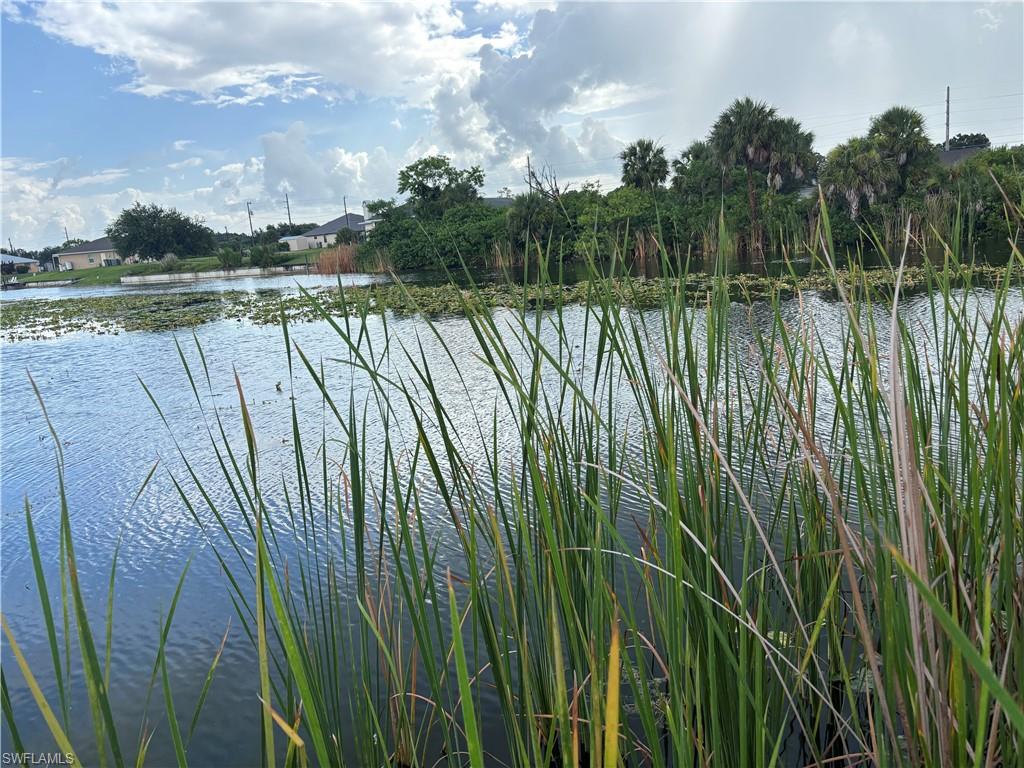 CAPE CORAL - Land