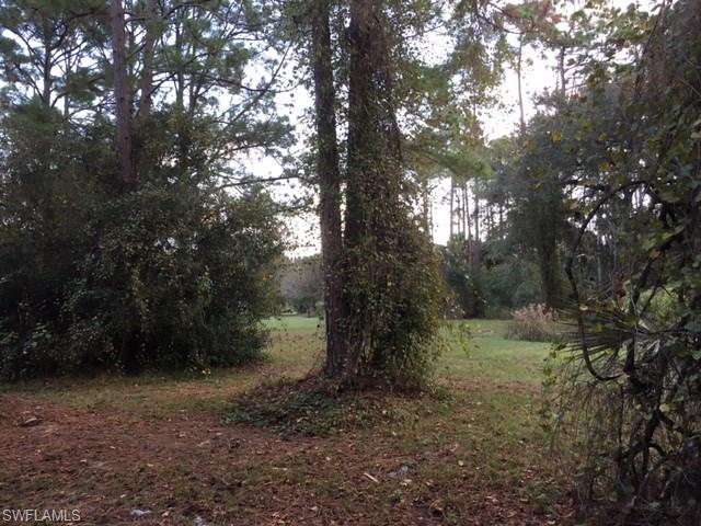 ACREAGE - Residential