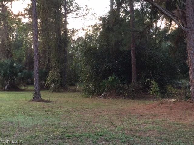 ACREAGE - Residential