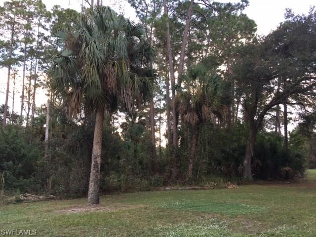 ACREAGE - Residential