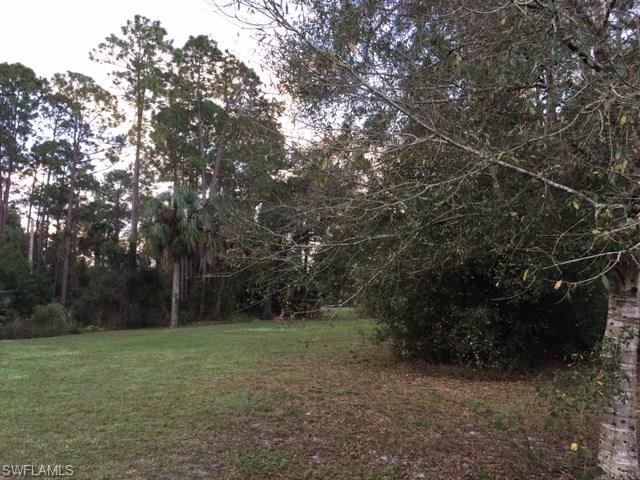 ACREAGE - Residential