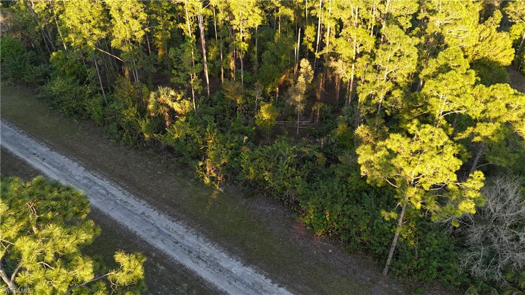 LEHIGH ACRES - Land